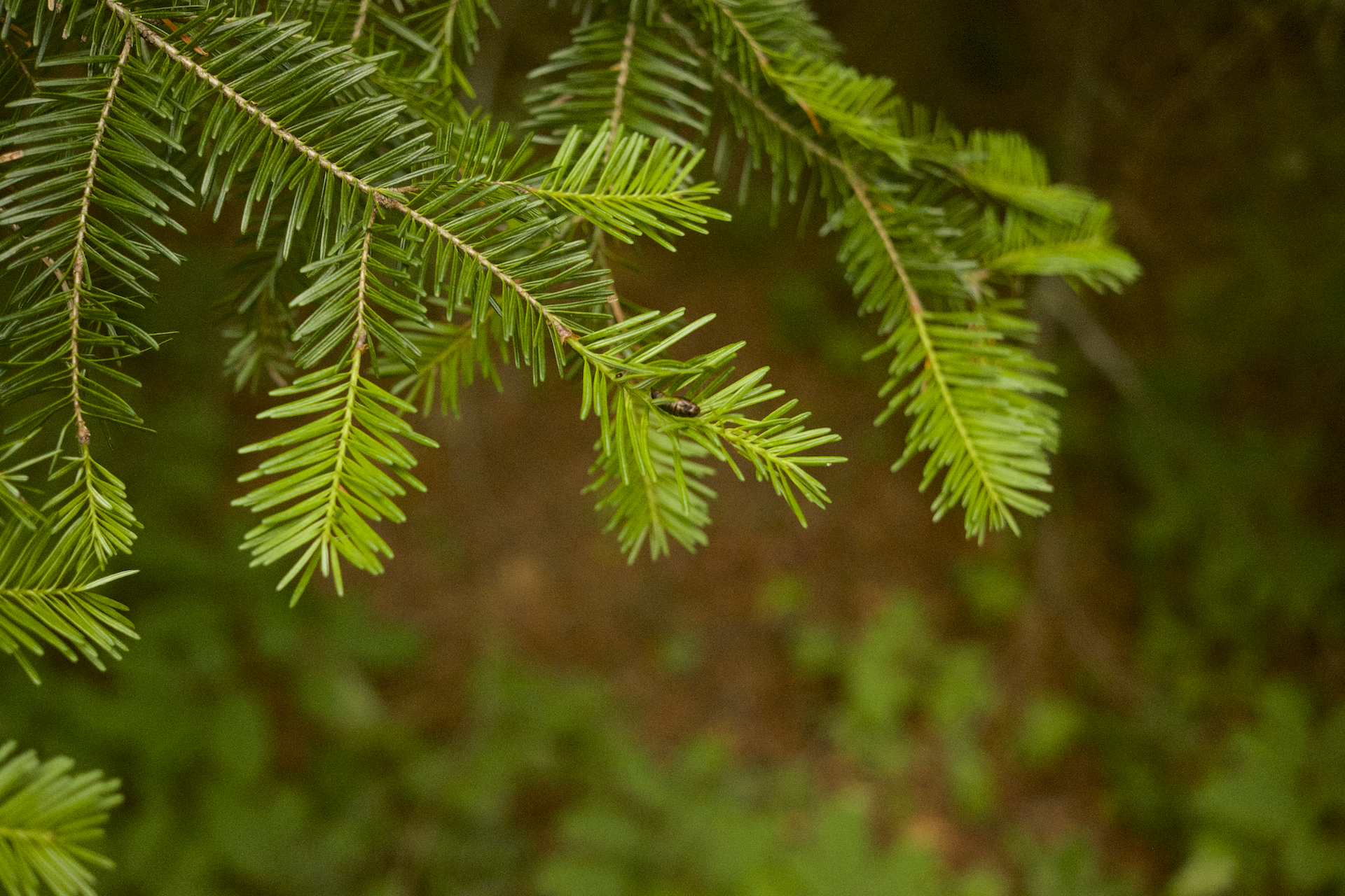 DSCF5914